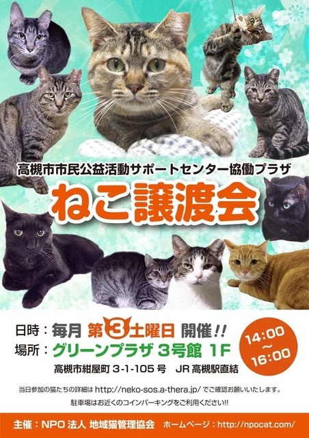 高槻譲渡会チラシ_2017.jpg